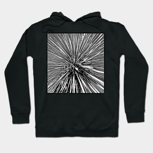 Yucca in Black and White Hoodie